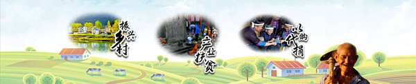 文章附图